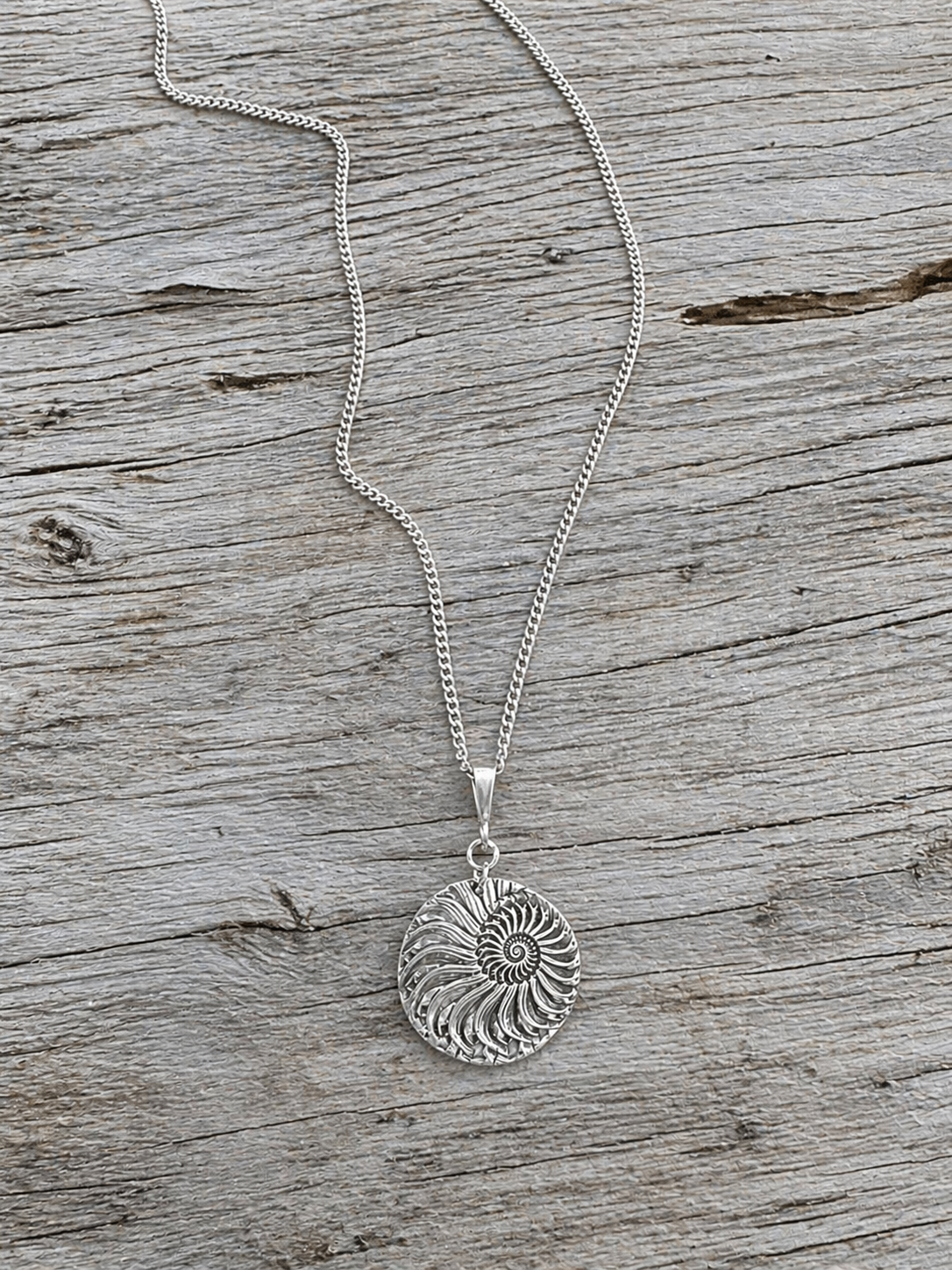 Nautilus Fine Silver Necklace
