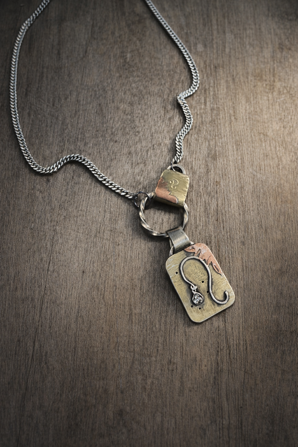 Leo zodiac necklace (The Zodiac collection).