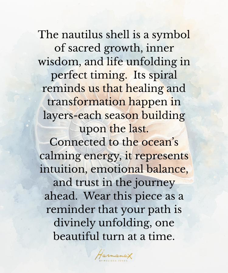 Nautilus Fine Silver Necklace